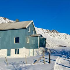 The Blue House in Lofoten