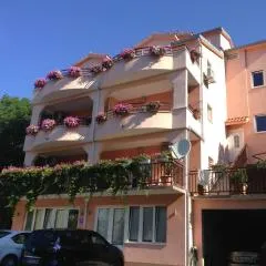 Apartments Ledic