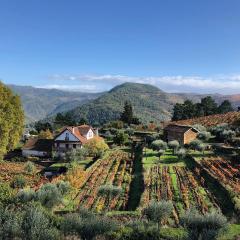 Quinta Vila Rachel - Winery