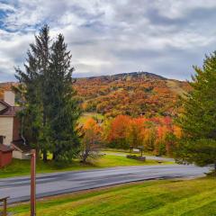 Mountain Village 5H Unit B