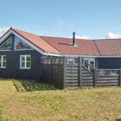 Beautiful Home In Skjern With 4 Bedrooms And Wifi