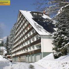 Apartment in Bad Mitterndorf - Steiermark 41116
