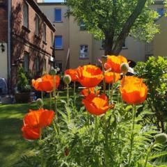 City Appartement mit Garten, zentral und trotzdem ruhig