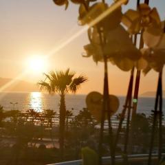 Vale House Holiday Apartment