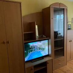 Minties Street big 47 square meters apartment for 1-5 persons