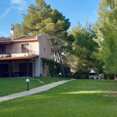 Sithonia Alekos Luxury Experience