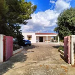 La Piccola Pineta, Capitolo