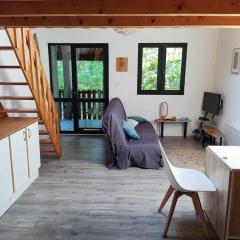 Studio maubuisson lac/océan 4/6 personnes