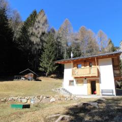 Pleasant holiday home in Lozzo di Cadore with garden