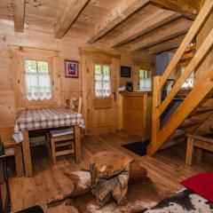 Chalet Chamonix-Mont-Blanc, 2 pièces, 3 personnes - FR-1-343-215