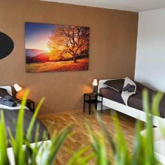 Cosy Apartments in Bad Laer