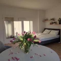 Studio mit Terrasse in zentraler Lage