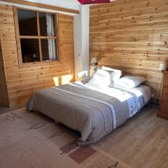 Spacious cocoon with garden in La Salle-les-Alpes