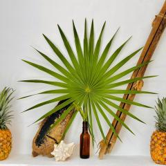 Casa Erizo Mahahual - Adults Only