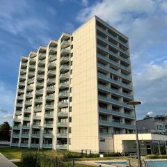 "Kleine Möwe", Prinz Hamlet