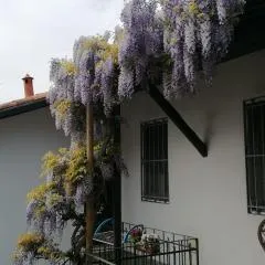 Delizioso appartamento in corte