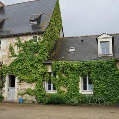 Très beau gîte, avec SPA Finlandais, près d'Angers