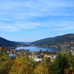 Chalet l'OURSON à Gérardmer, vue imprenable lac