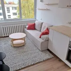 Stylish Studio in Central Vilnius II