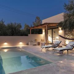 Skyview Olive Villa - Private Pool - Casa Kalitero