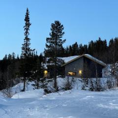 Brand new cabin on the sunny side of Gaustatoppen with a great view