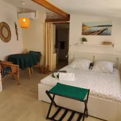Petite étoile de Mer - Studio hyper équipé à 150m d'une plage de sable fin grande terrasse presqu'île de charme