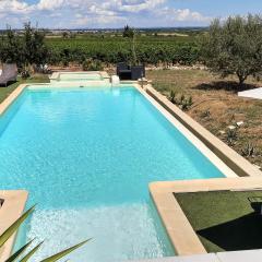 Maison 12 à 14 personnes avec piscine et billard