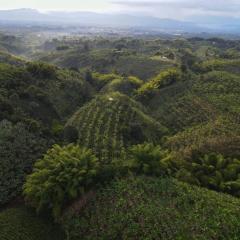 Finca la castellana