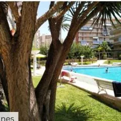 Apartamento entero en la playa san juan Benacantil