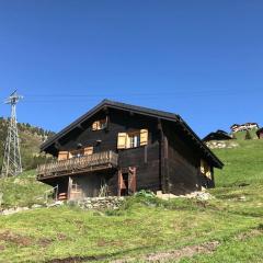 Alphütte Riederalp Planier in der Aletsch Arena