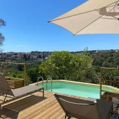 06Q - Biot beautiful provencal villa with swimming pool