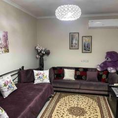 Warm apartment in the center of Tirana city