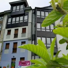 Apartamentos Camparina