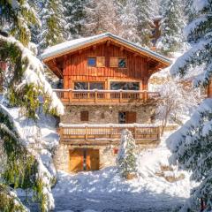 Chalet Dakota, Pied des pistes, 15 pers, La Plagne