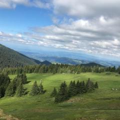 Apartman SUNNY Brzeće,Kopaonik