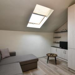 Small studio on budget in the heart of city