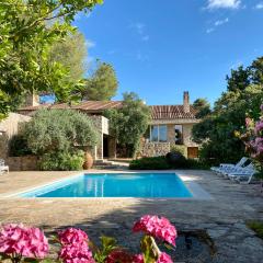 Luxury home Paraiso with pool and gym