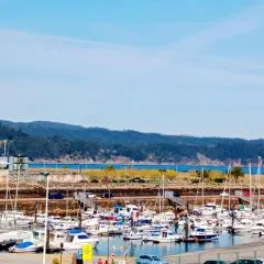 Viveiro Centro con Vistas