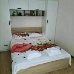 Apartament-HouseSasca