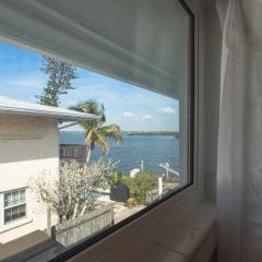 Coastal Breeze Siesta Turtle "B"