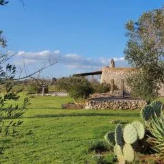 Agriturismo Le Cupole
