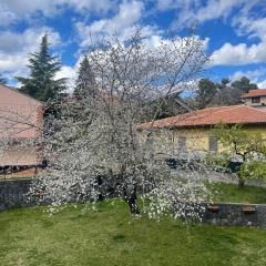 Etna sotto il ciliegio