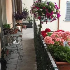 Appartamento Olga nel centro storico di Intra