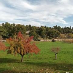 Racconto di Puglia - Selva di Fasano