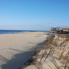 Cozy Suite - Pet friendly, Beach Side apts