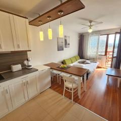 Bansko Private VIP Apartment