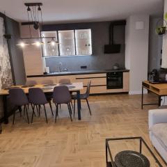 Apartament I Młyny Gdańskie blisko centrum