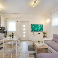 Apartmani Rokov