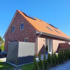 Warfenblick