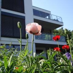 Potenberg 4a by Rujana